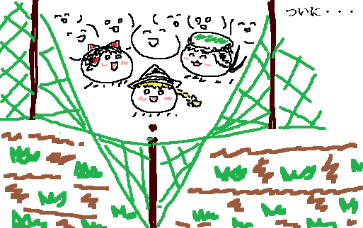 reimu, marisa, and chen (touhou) drawn by d.o