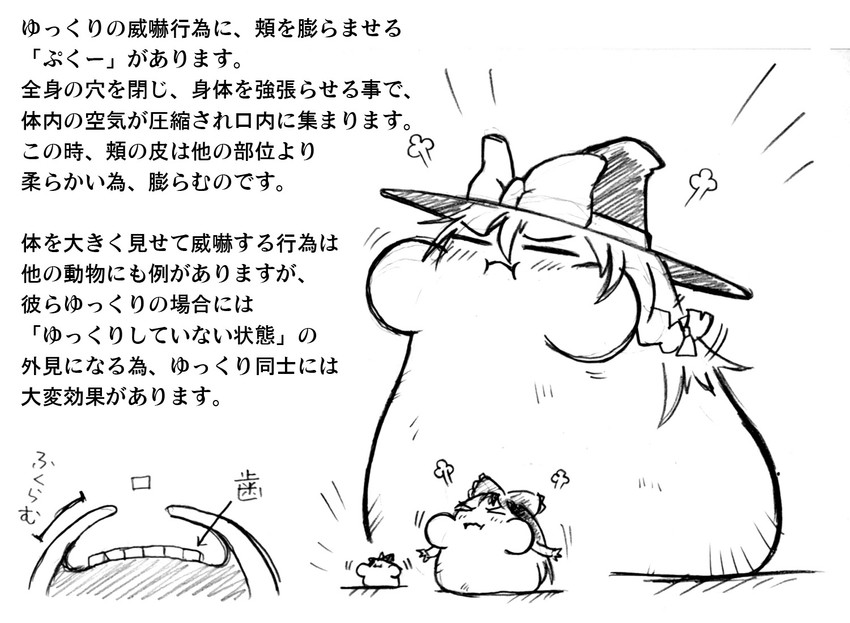 reimu and marisa (touhou) drawn by eisei